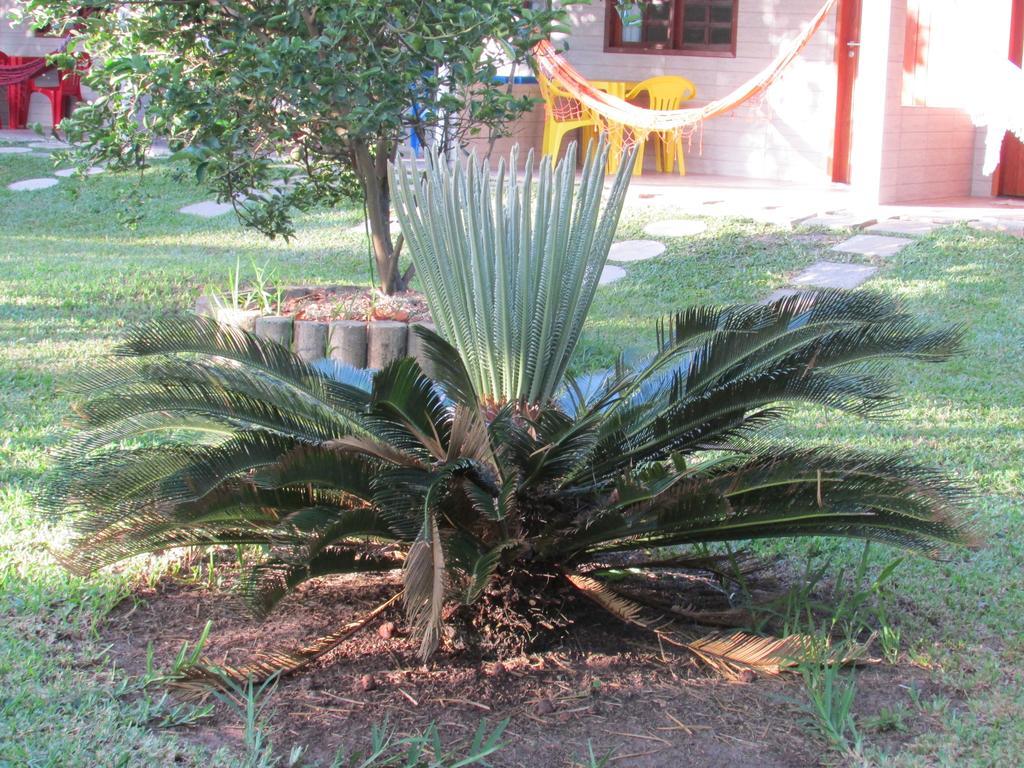 Pousada Ipitanga IV Lauro de Freitas Luaran gambar