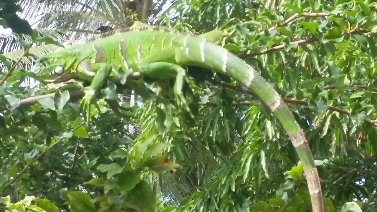 Pousada Ipitanga IV Lauro de Freitas Luaran gambar